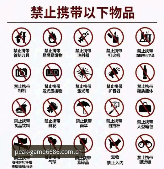 体育官网入口使用指南 如何正确使用6686体育官网入口?一位老用户分享的实用指南